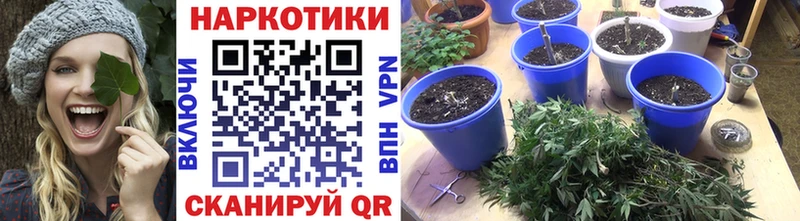 Меф мяу мяу Ветлуга