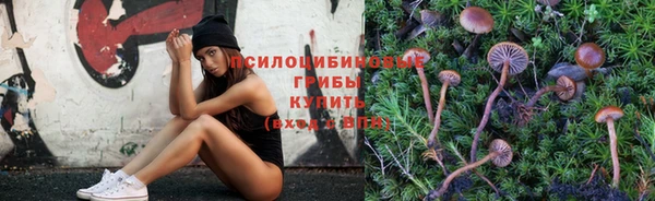 бошки Володарск