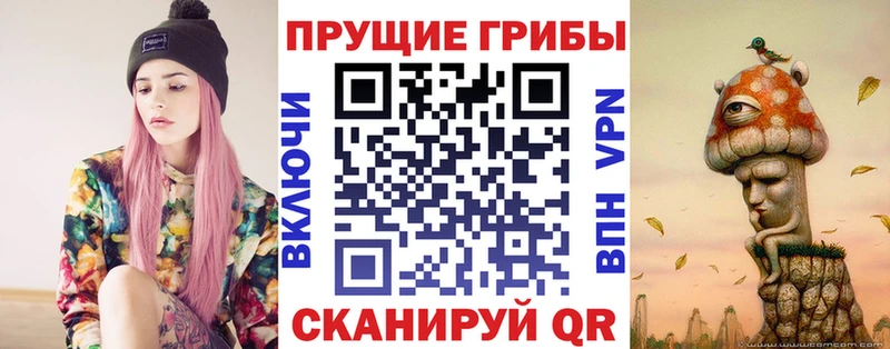 купить  сайты  Ветлуга  Галлюциногенные грибы прущие грибы 